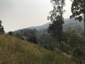 forested hills in Chiang Rai, Thailand