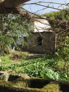 An abandoned hut near a vegetable garden in Moganshan, Zhejiang, China