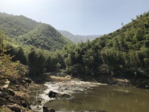 beautiful mountain scene in Moganshan, Zhejiang, China