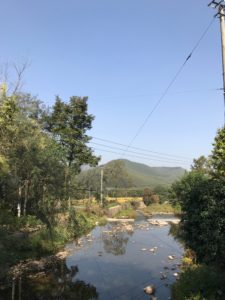 mountain river in Moganshan, Zhejiang, China