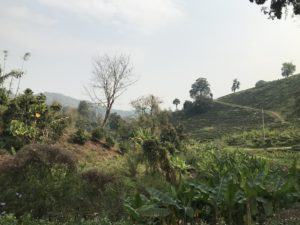 hills in Chiang Rai, Thailand