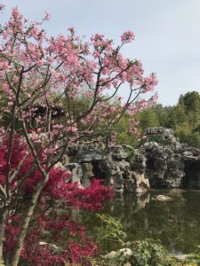 Guyi Garden, Nanxiang, Shanghai