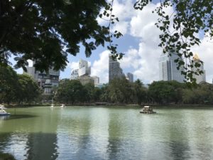 Lake in Lumphini Park, Bangkok