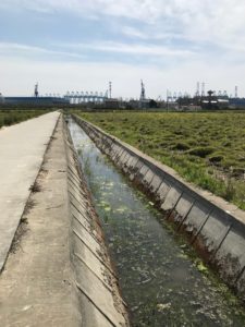 canal and cranes in Chang Xing Island