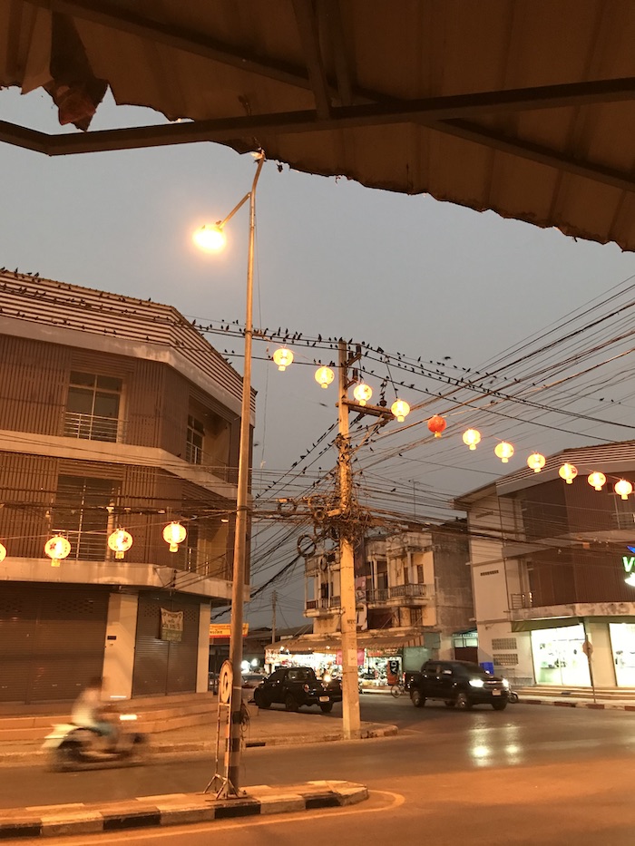 Birds on power lines in Sukhothai, Thailand