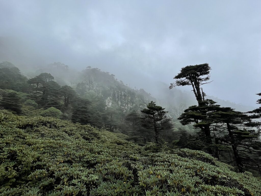 Misty mountain peaks on Cangshan Mountain, Dali, Yunnan, China. onaroadtonowhere.com