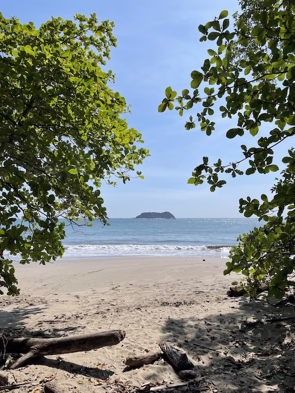 The beach at Manuel Antonio National Park