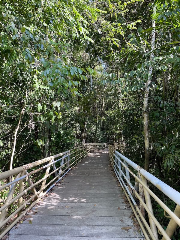 Wooden boardwalk trail in Manuel Antonio National Park