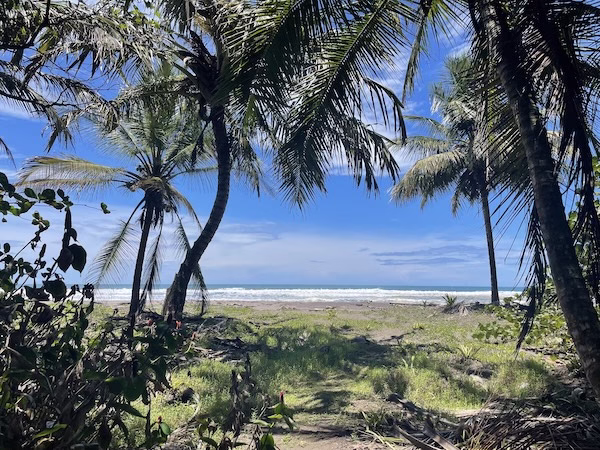 Tropical beach in Tortuguero, Costa Rica