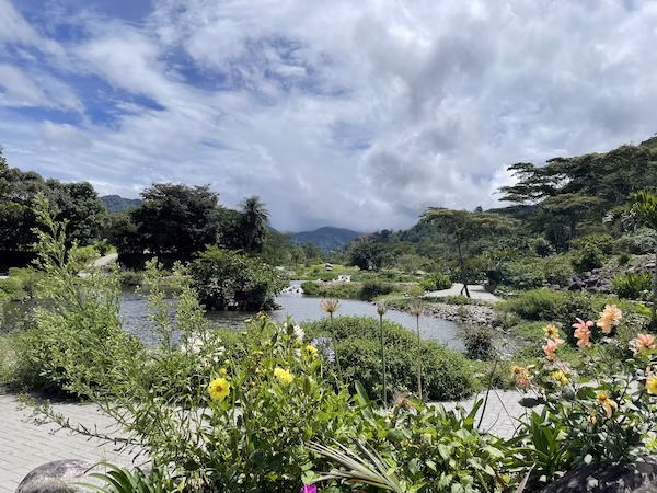 Flowers and clouds with mountains in Boquete
