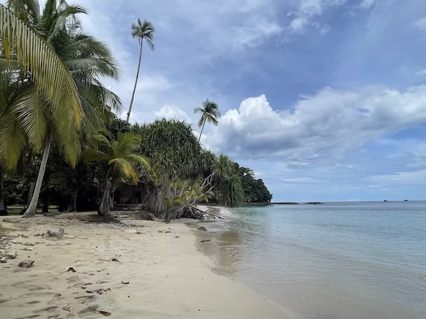 Sandy beach at Coiba National Park in Panama