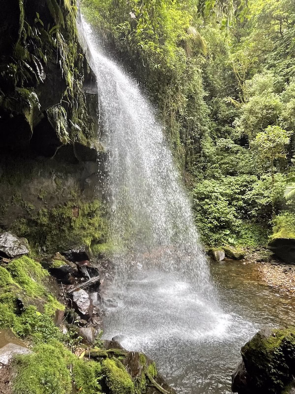 One of the "secret" waterfalls in Boquete on the Tres Cascadas trail.