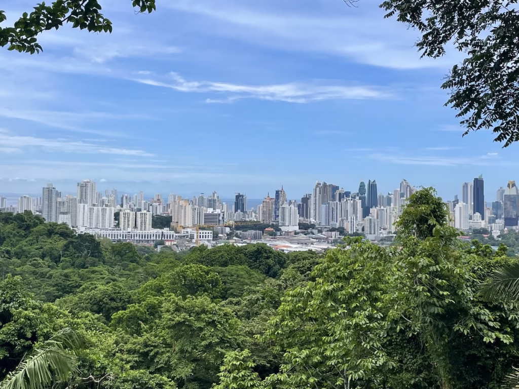 The skyline of Panama City viewed through a break in vegetation