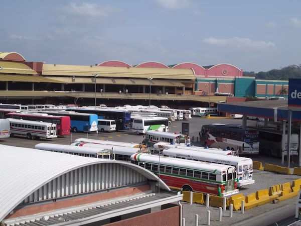 Buses parked in front of the Albrook bus terminal.