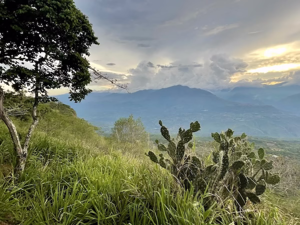 Sunset over the Andes mountains. A cactus plant is in the foreground.