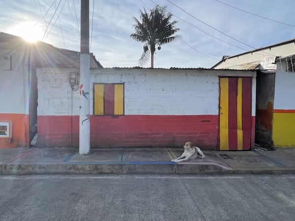 A dog rests in front of a building in Filandia