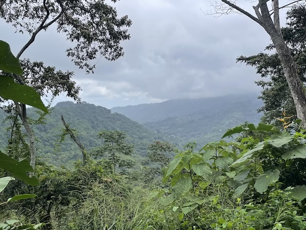 Jungle covered mountains outside of Minca, Colombia