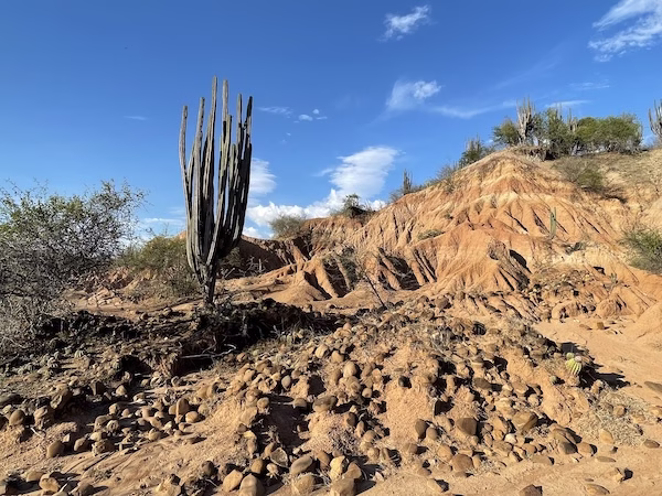 Rock formations and cactus in the Tatacoa desert.