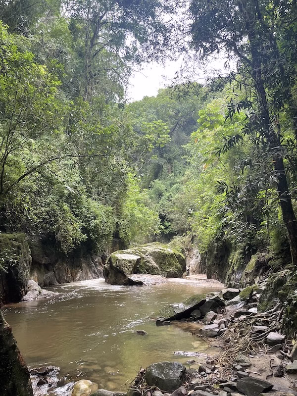 A jungle pool in Minca