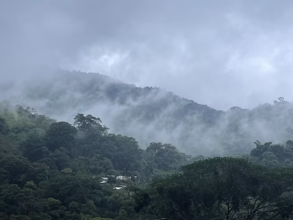 Misty green Sierra Nevada mountains in Colombia