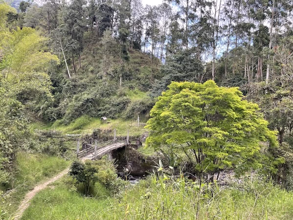 A wooden bridge going over a small creek in Colombia