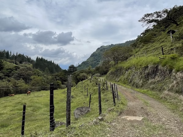 Trail in the outskirts of Jardin