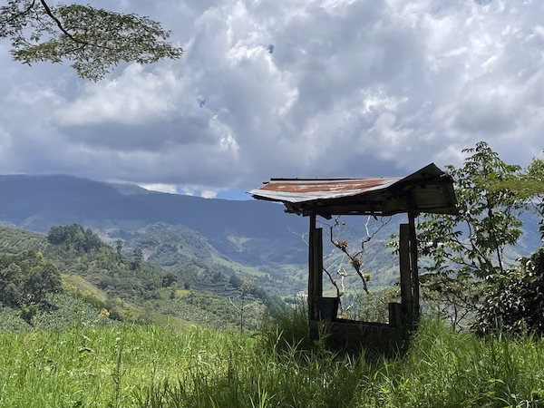 An old well in the foreground of a lush green jungle landscape