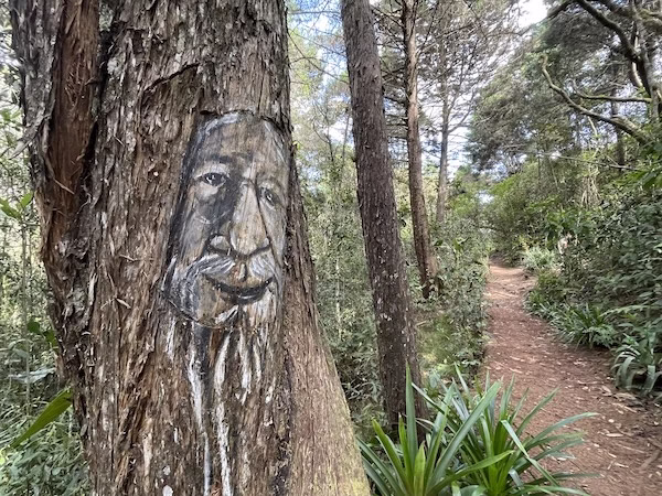 An old man's face painted on a tree in Parque Arvi, Medellin
