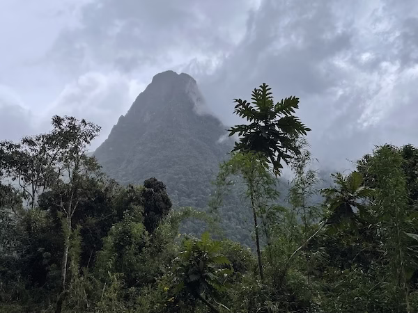 A steep mountain covered in clouds with palm trees in front.