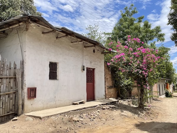 White washed adobe house and a bush with purple flowers in Villavieja, Colombia