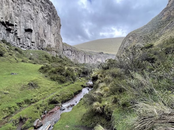 A stream flows through green grass between a rocky gorge in the Andes mountains.