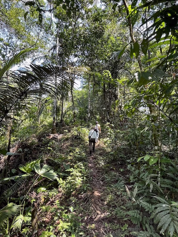 Two people walk through the Amazon jungle
