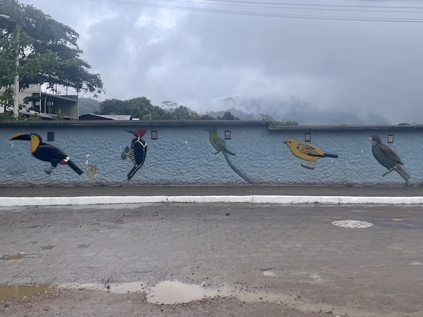 A mural featuring various birds in Mindo, Ecuador