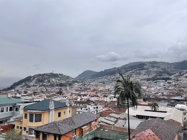 Tiled roofed houses and a palm tree in central Quito, Ecuador