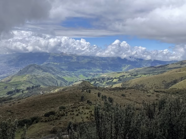 A view of high altitude paramo