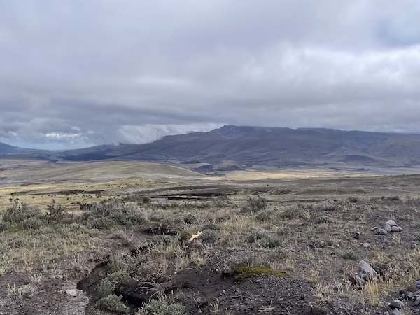 High altitude Ecuadorian grassland