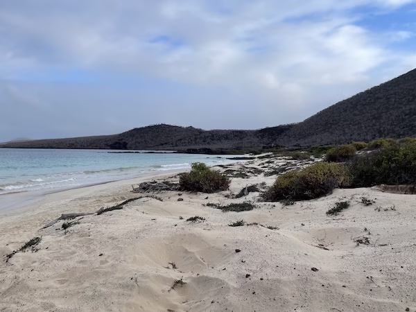 A white sandy beach on the Galapagos islands.