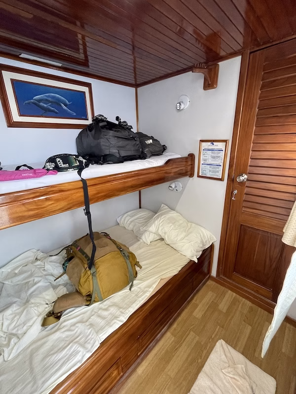 Our budget Galapagos cruise cabin. It's tiny.