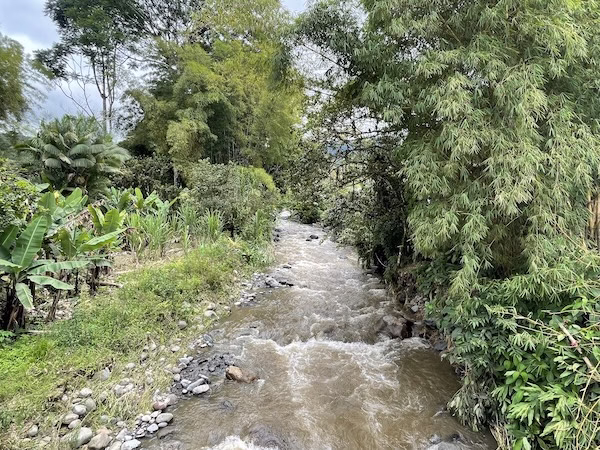 A rushing stream in the forest of Mindo, Ecuador