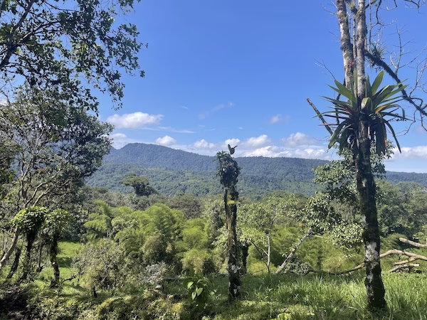 Green mountains and forest outside of Mindo, Ecuador
