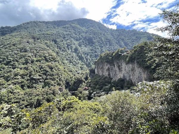 Forested mountains at the edge of the Andes