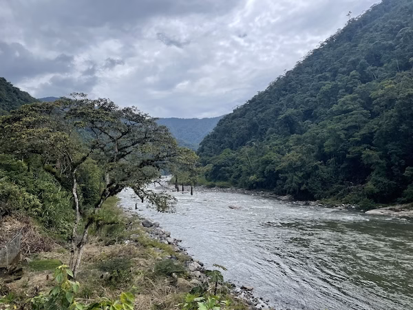 A river flowing through green jungle hills