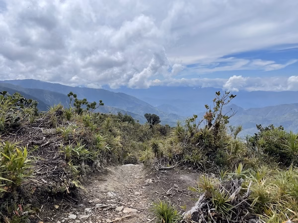 View from Podocarpus National Park, mountains and plants under a cloudy sky