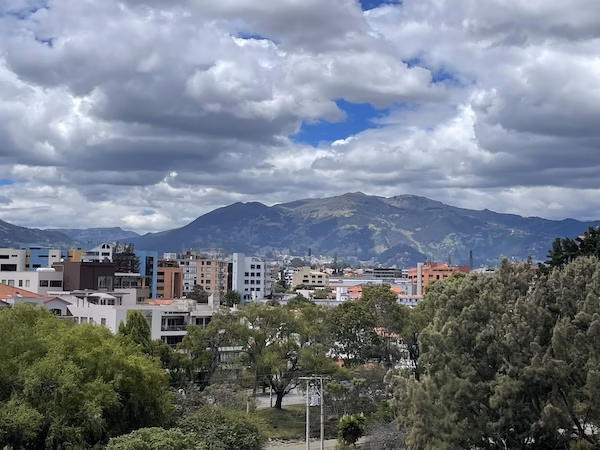 The skyline of Cuenca, Ecuador with mountains in the background and trees in front