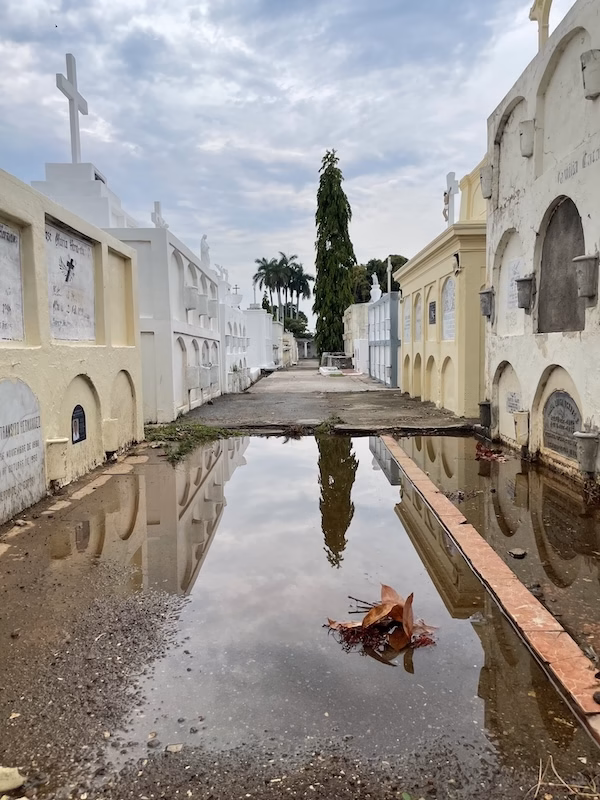 A tree and headstones are reflected in a puddle in a cemetery in Granada, Nicaragua, Central America