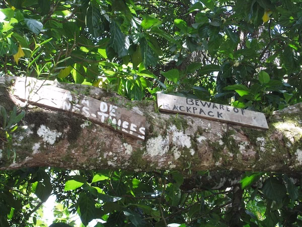 Wooden signs on a beach in Panama regarding safe travel in Central America. One reads "Playa de Ladrones - thiefs" the other reads "beware of backpack"
