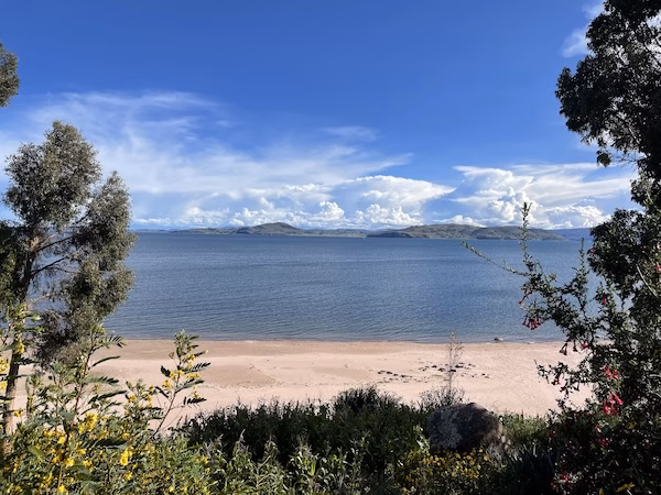A sandy beach surrounded by trees on the shore of Lake Titicaca