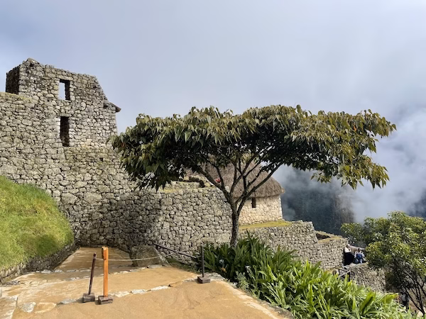 A tree grows in front of a brick building at Machu Picchu