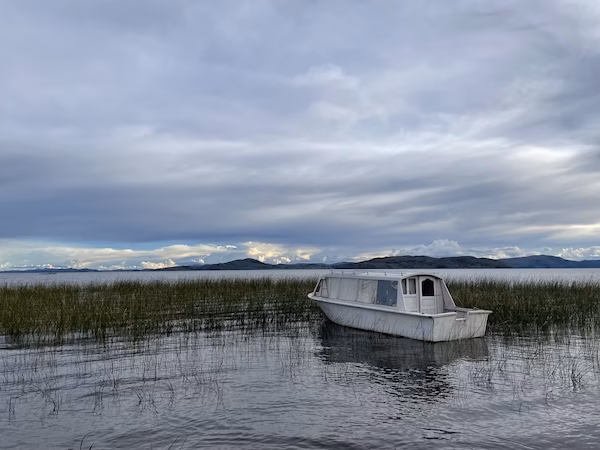 A white boat amid the reeds on the Capachica Peninsula in Lake Titicaca
