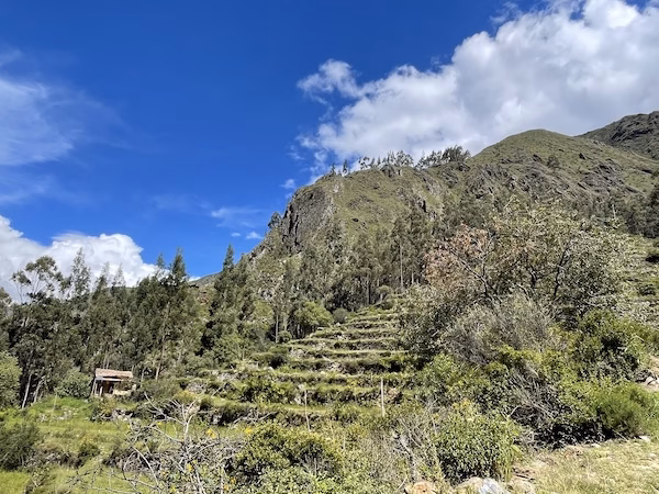 Inca terraced farms in the Sacred Valley of Peru